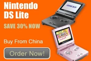 nintendo ds china